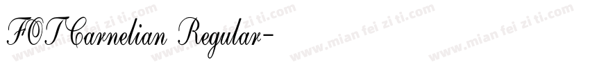 FOTCarnelian Regular字体转换